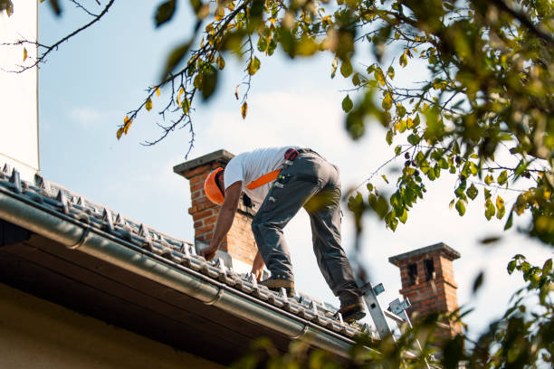 Best Roof Leak Repair  in El Paso, IL