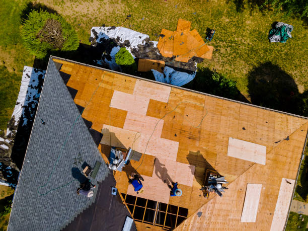 Best Roof Repair Services  in El Paso, IL