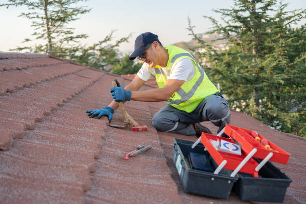 Best Roofing Contractor Near Me  in El Paso, IL