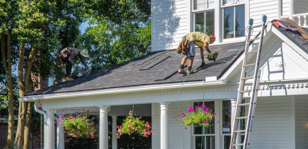 Best Roof Gutter Cleaning  in El Paso, IL
